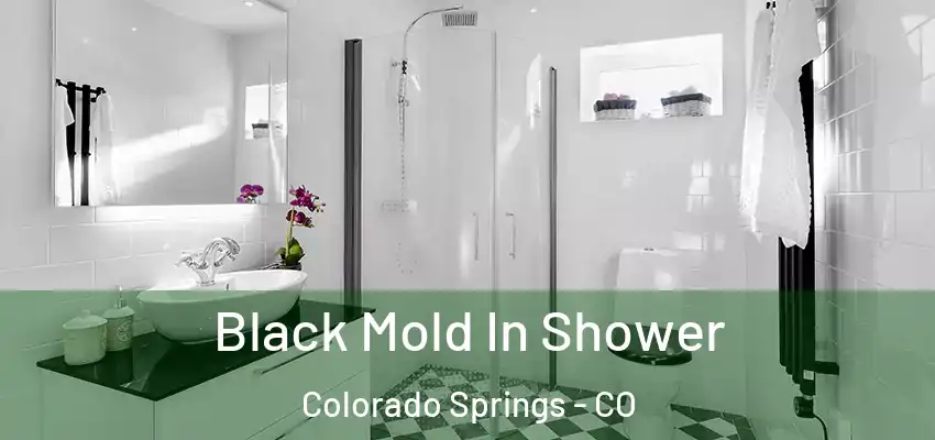  Black Mold In Shower Colorado Springs - CO