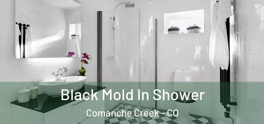 Black Mold In Shower Comanche Creek - CO