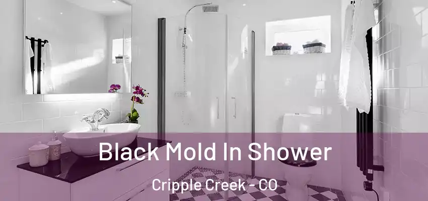  Black Mold In Shower Cripple Creek - CO