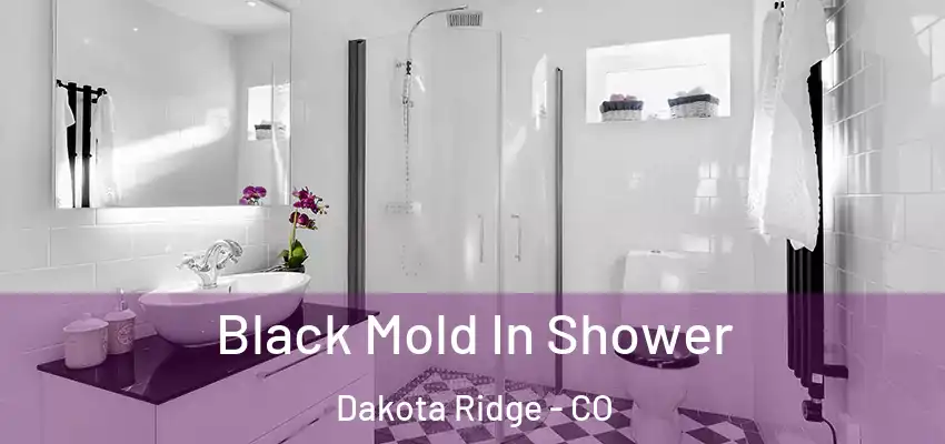  Black Mold In Shower Dakota Ridge - CO