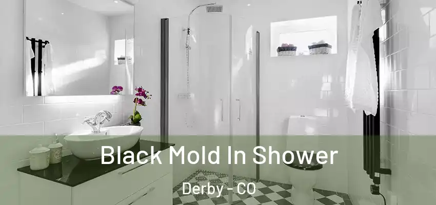  Black Mold In Shower Derby - CO