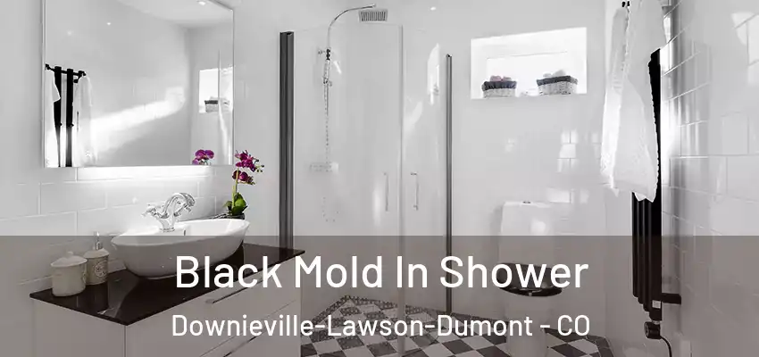  Black Mold In Shower Downieville-Lawson-Dumont - CO