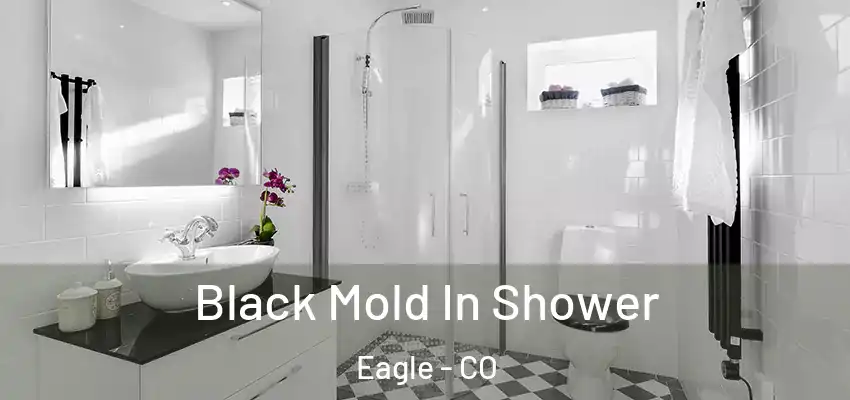  Black Mold In Shower Eagle - CO