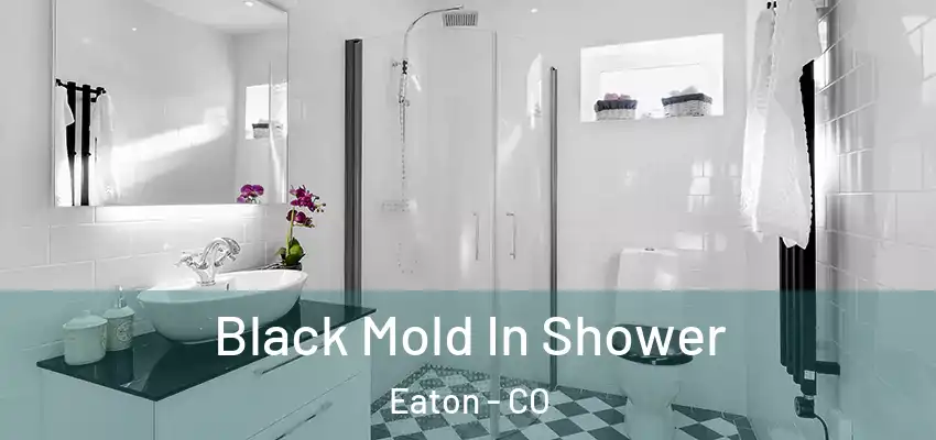  Black Mold In Shower Eaton - CO