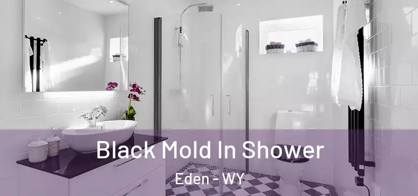  Black Mold In Shower Eden - WY