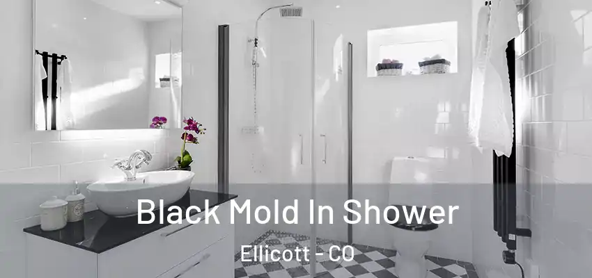 Black Mold In Shower Ellicott - CO