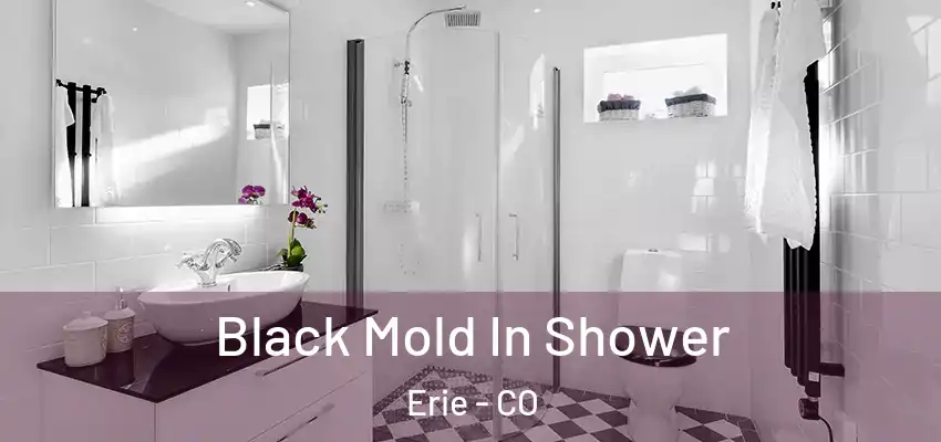  Black Mold In Shower Erie - CO