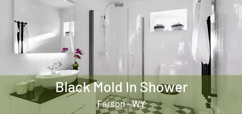  Black Mold In Shower Farson - WY