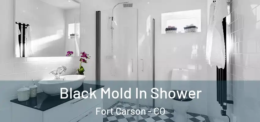  Black Mold In Shower Fort Carson - CO