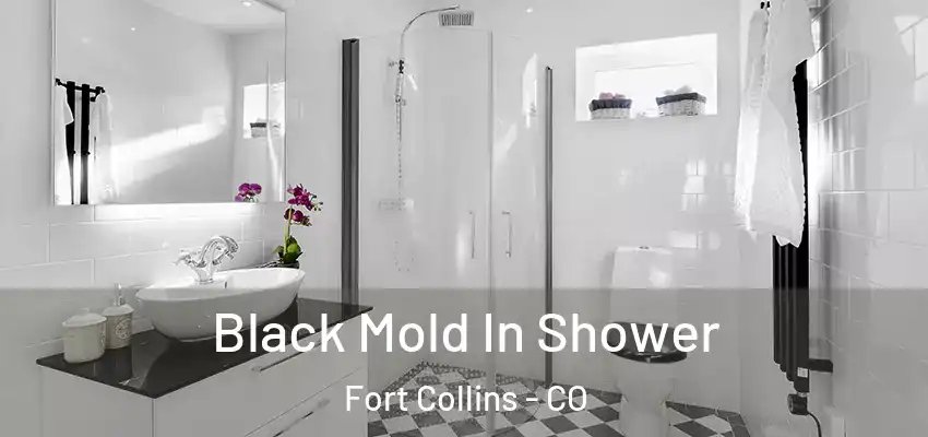  Black Mold In Shower Fort Collins - CO