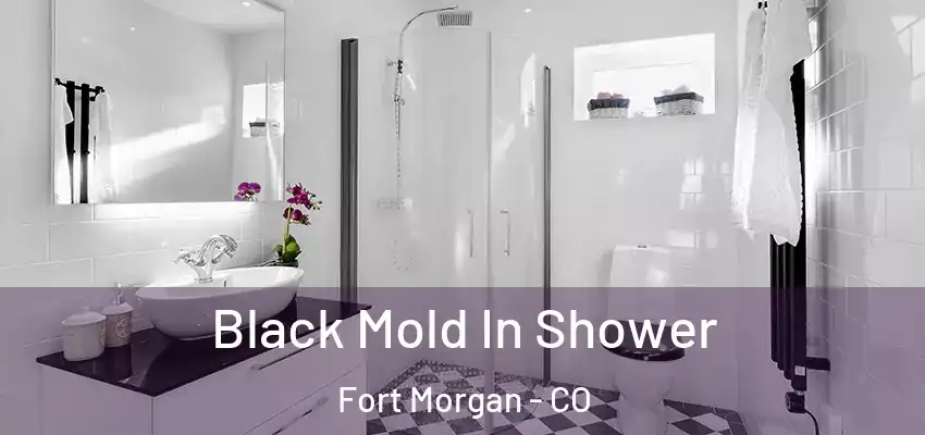  Black Mold In Shower Fort Morgan - CO