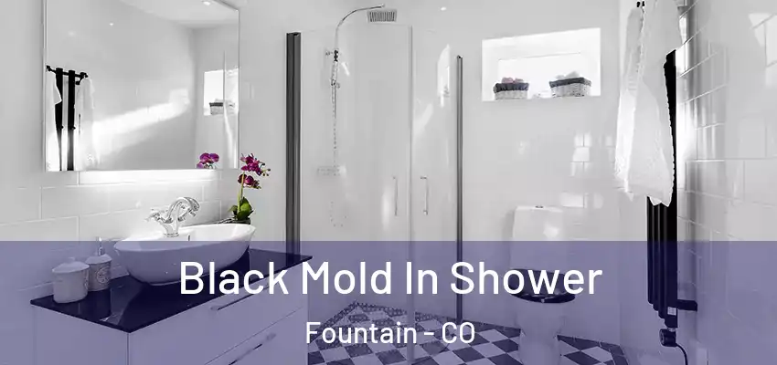  Black Mold In Shower Fountain - CO