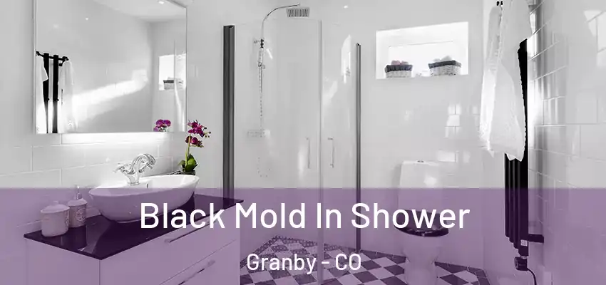  Black Mold In Shower Granby - CO