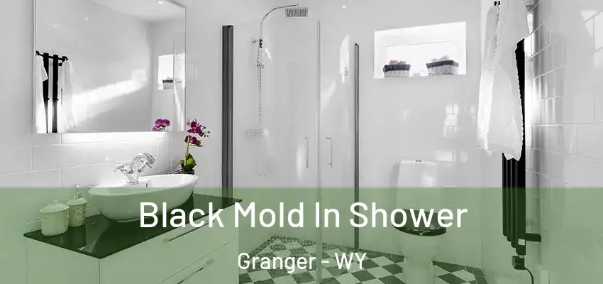  Black Mold In Shower Granger - WY