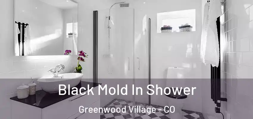  Black Mold In Shower Greenwood Village - CO
