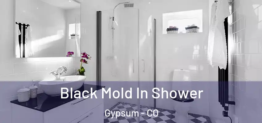 Black Mold In Shower Gypsum - CO