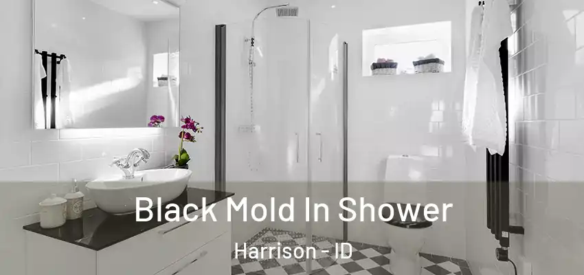  Black Mold In Shower Harrison - ID