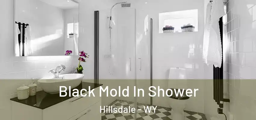  Black Mold In Shower Hillsdale - WY