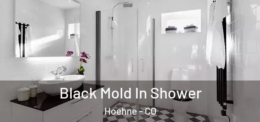 Black Mold In Shower Hoehne - CO