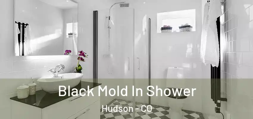  Black Mold In Shower Hudson - CO