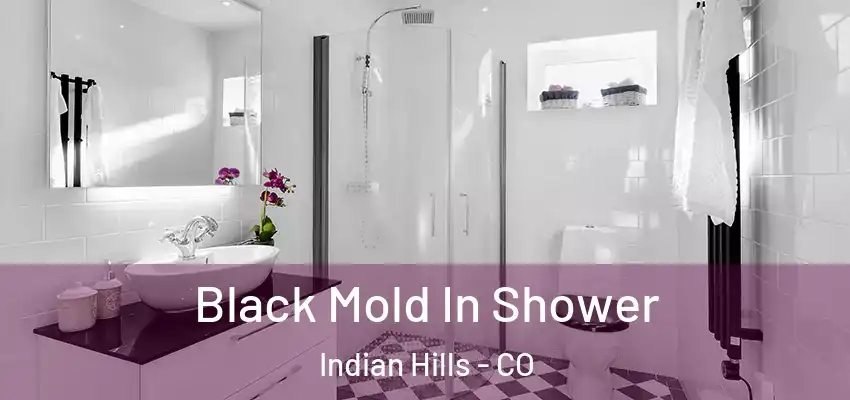 Black Mold In Shower Indian Hills - CO