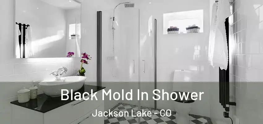  Black Mold In Shower Jackson Lake - CO