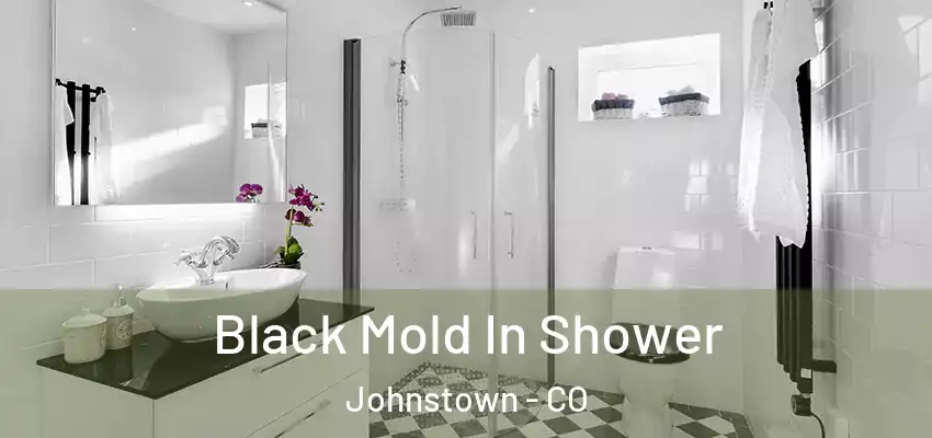  Black Mold In Shower Johnstown - CO