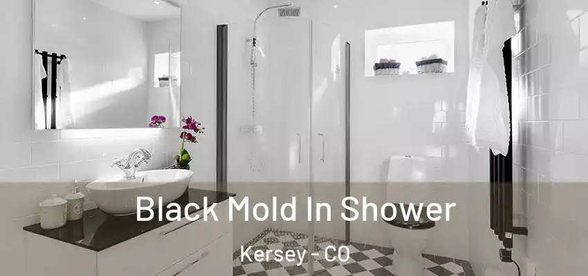  Black Mold In Shower Kersey - CO