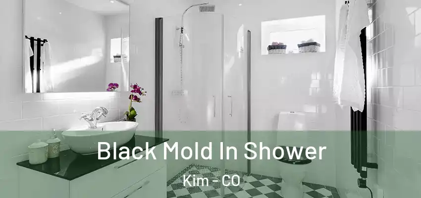  Black Mold In Shower Kim - CO