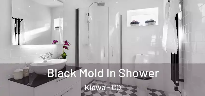 Black Mold In Shower Kiowa - CO