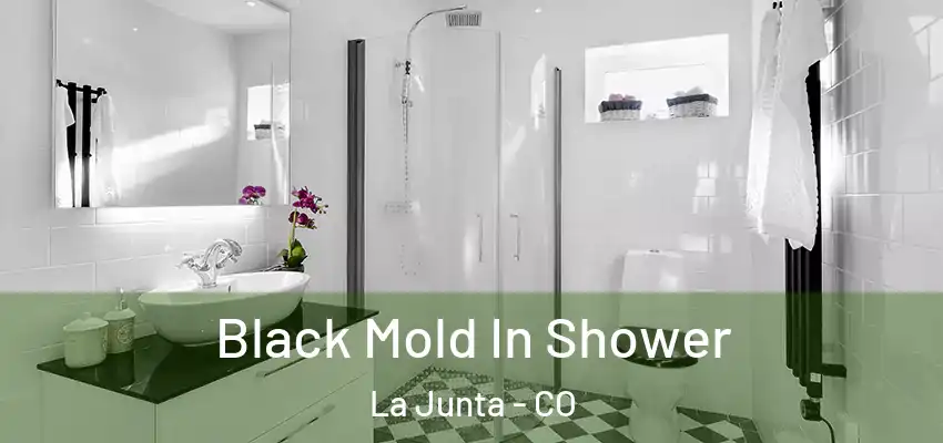  Black Mold In Shower La Junta - CO