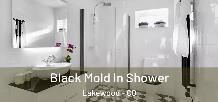Black Mold In Shower Lakewood - CO