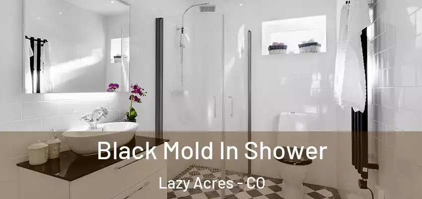  Black Mold In Shower Lazy Acres - CO