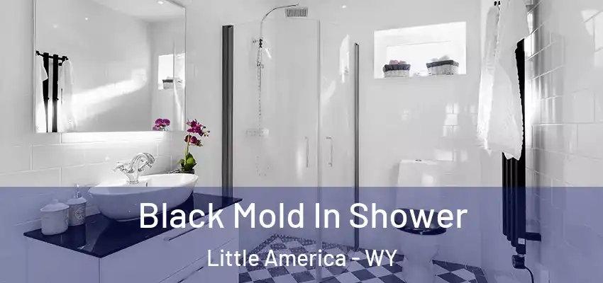  Black Mold In Shower Little America - WY