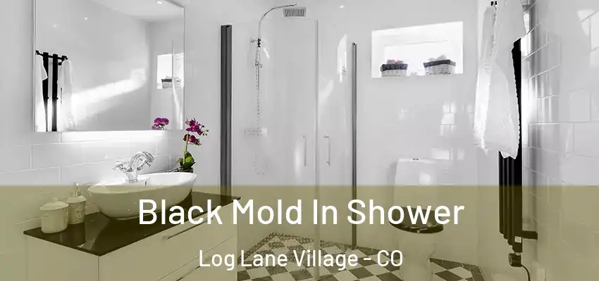  Black Mold In Shower Log Lane Village - CO