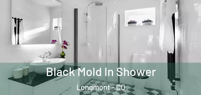  Black Mold In Shower Longmont - CO