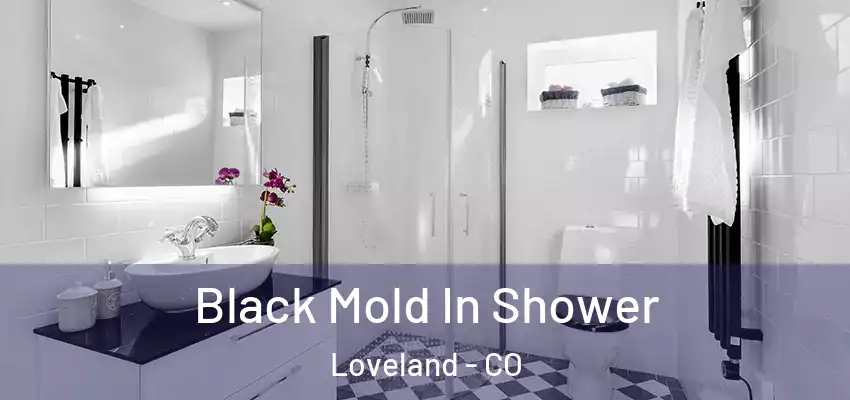  Black Mold In Shower Loveland - CO