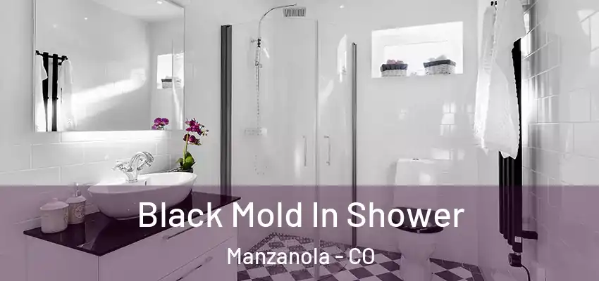 Black Mold In Shower Manzanola - CO