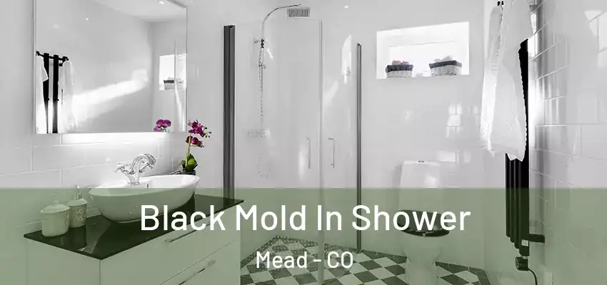  Black Mold In Shower Mead - CO