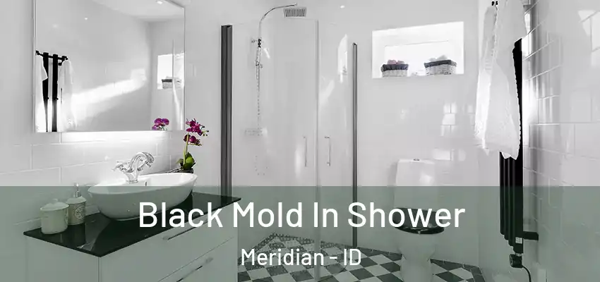  Black Mold In Shower Meridian - ID