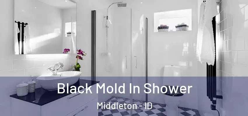 Black Mold In Shower Middleton - ID
