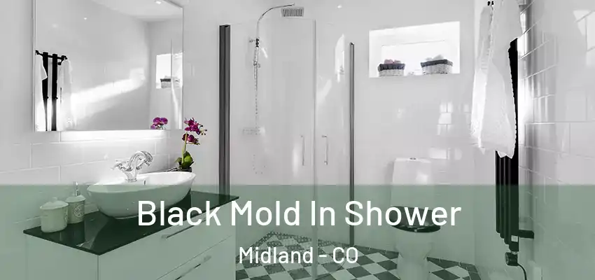 Black Mold In Shower Midland - CO