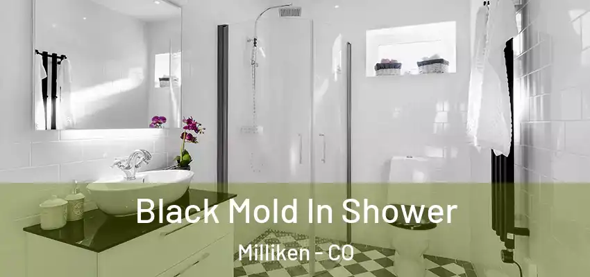  Black Mold In Shower Milliken - CO