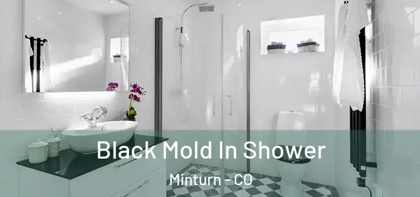  Black Mold In Shower Minturn - CO