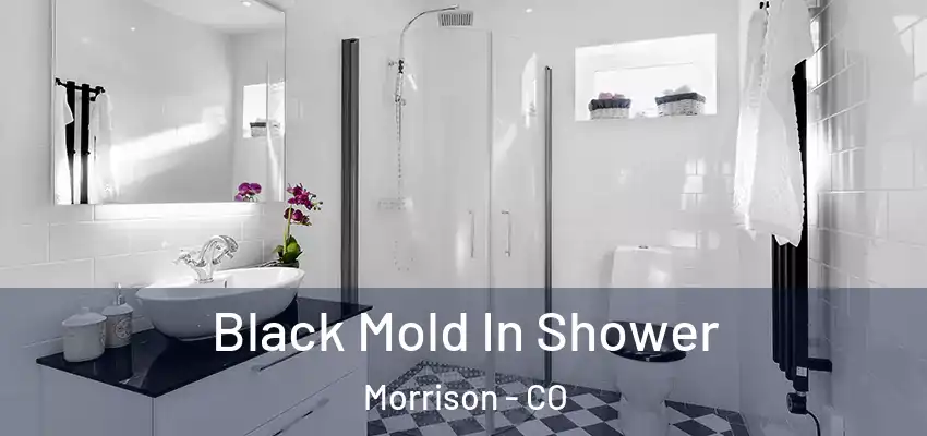 Black Mold In Shower Morrison - CO