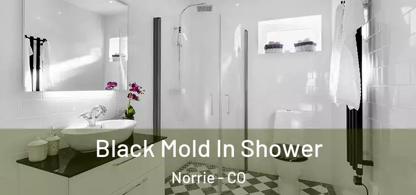  Black Mold In Shower Norrie - CO