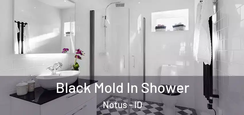 Black Mold In Shower Notus - ID