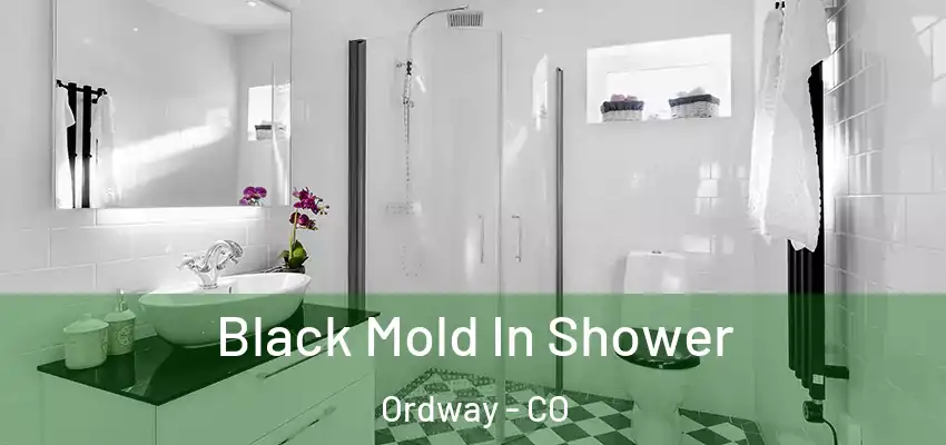  Black Mold In Shower Ordway - CO