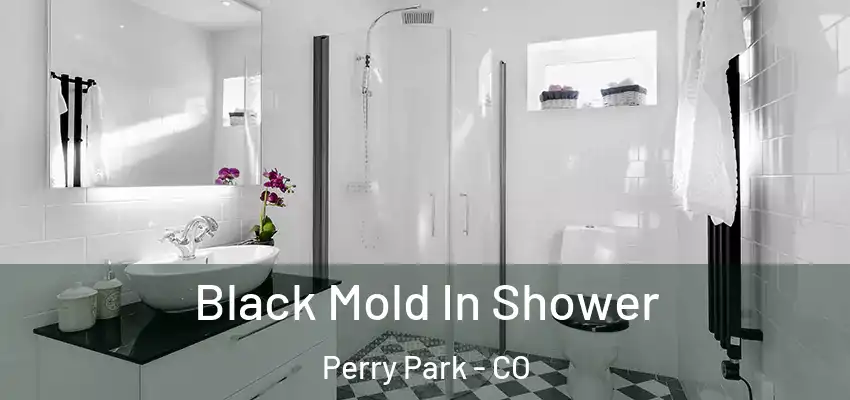  Black Mold In Shower Perry Park - CO