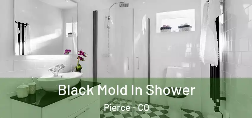 Black Mold In Shower Pierce - CO